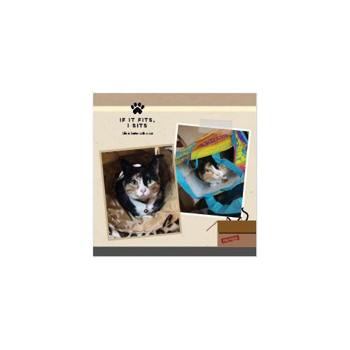 Four Legged Friends 12x12 undefined  Wall Calendar