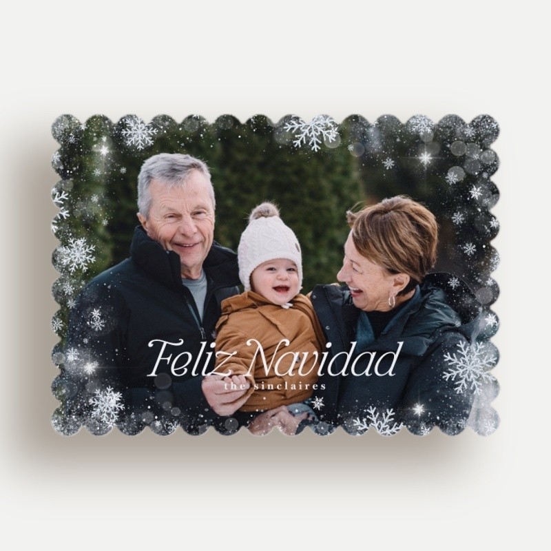 Falling Snowflakes