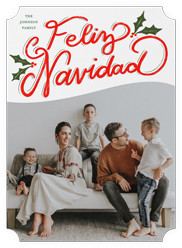 Vibrant Holly Greetings