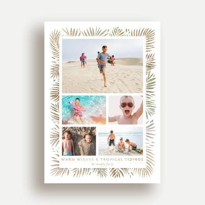 Tropical Tidings