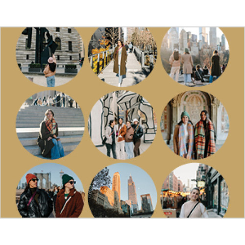 Organic Modern Calendar 8x11 undefined  Wall Calendar