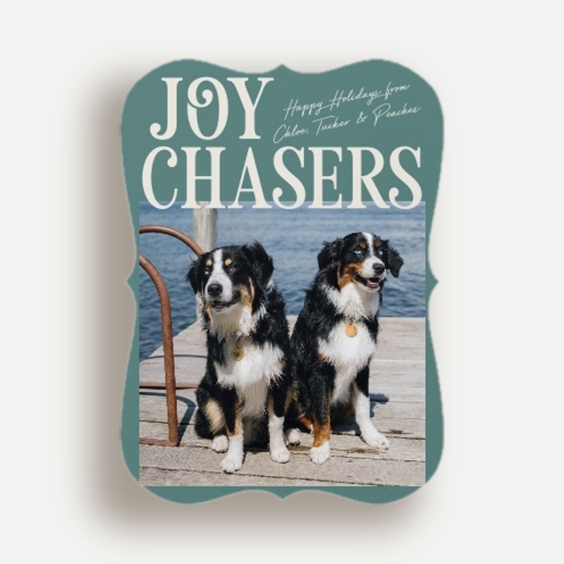 Joy Chasers