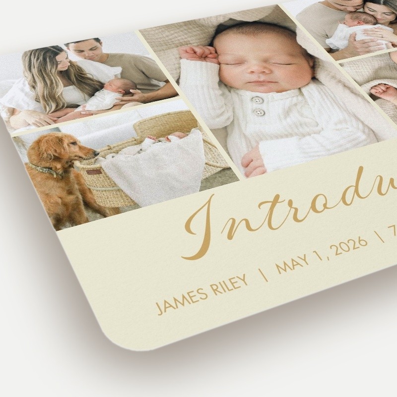 Softly Introducing Birth Announcement