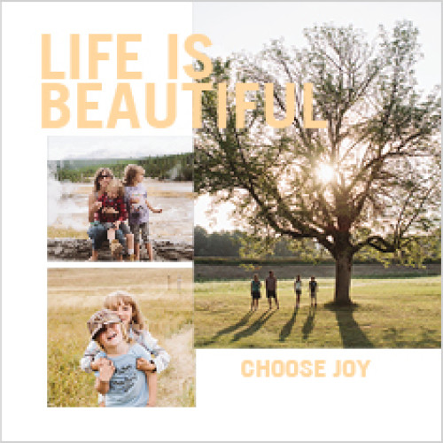 Everyday Bold Type 8x8 undefined  Premium Album