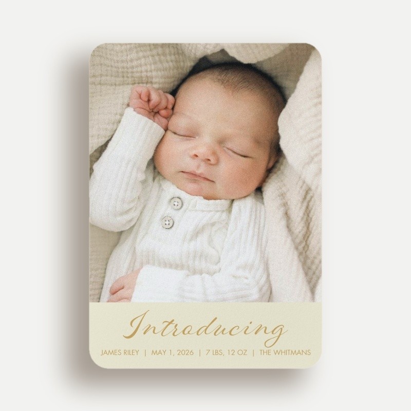 Softly Introducing