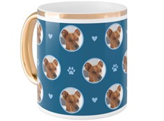 Floating Paws and Pets