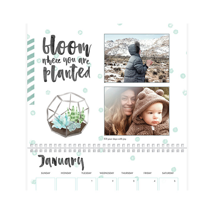 Watercolor Botanicals