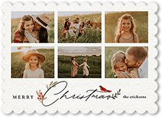 Bird and Holly Berry