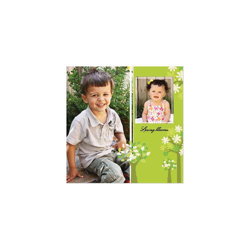 Bold Seasons 12x12 undefined  Wall Calendar