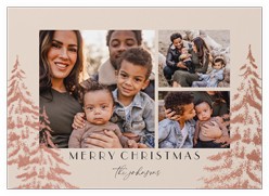 Peaceful Pine Prints