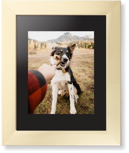 Pet Photo Gallery