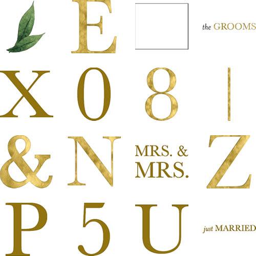 Classic Vows 10x10 undefined  Premium Album