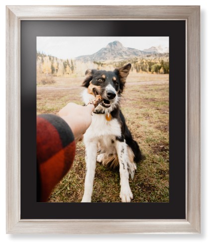 Pet Photo Gallery
