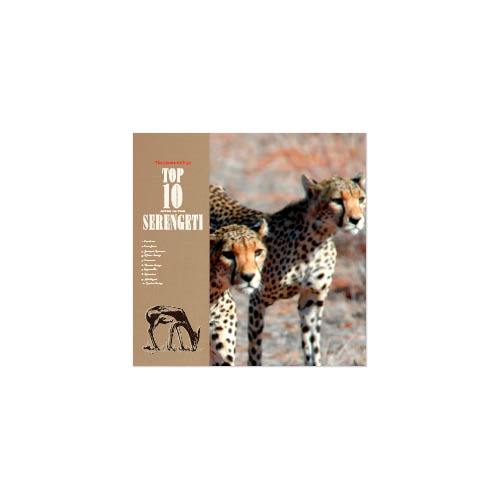 Passport to Africa 8x8 undefined  Premium Album