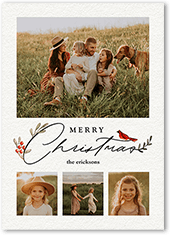 Bird and Holly Berry