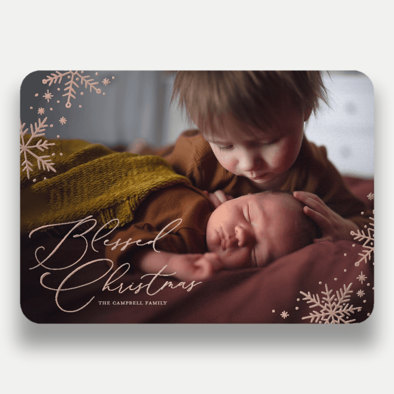 Delicate Flakes Holiday Card