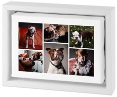 Clean Gallery of Six