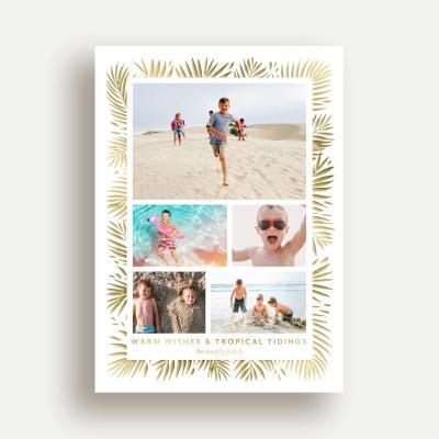 Tropical Tidings