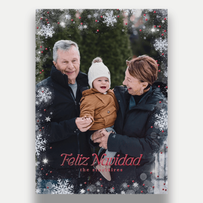 Falling Snowflakes Holiday Card