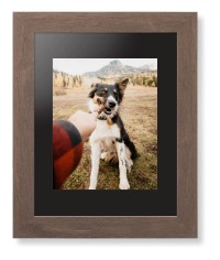 Pet Photo Gallery