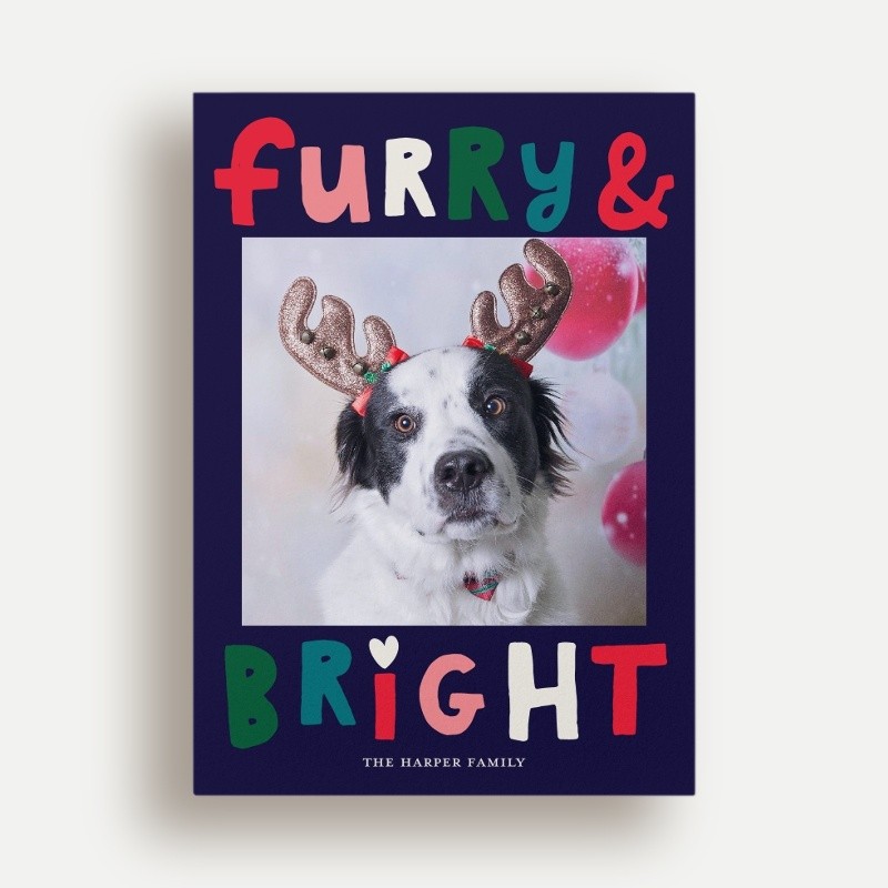Furry Bright