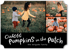 Cutest Pumpkins