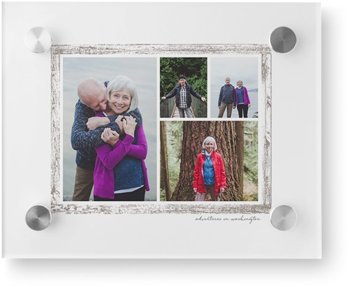 Brushed Border Collage Of Four