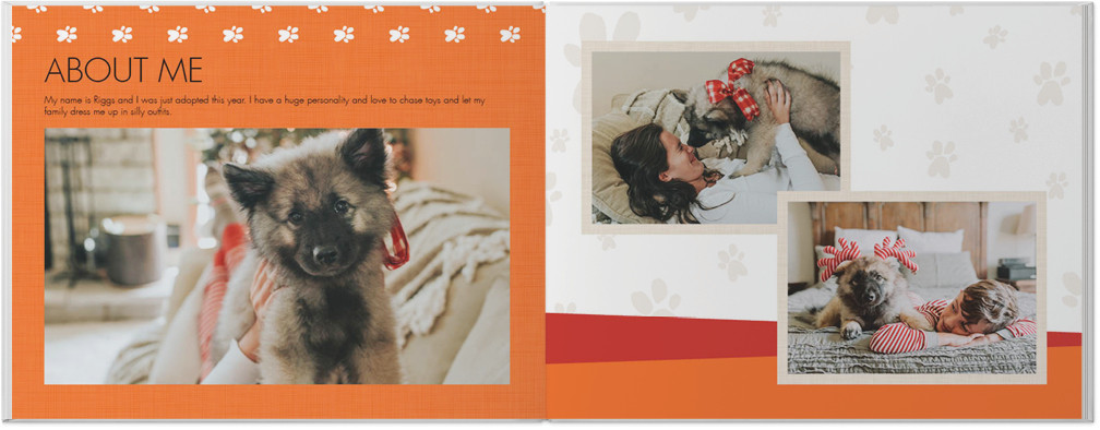 Pet Lover 11x14 undefined  Photo Book