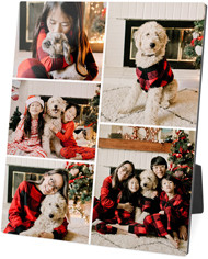 Gallery of Five Portrait