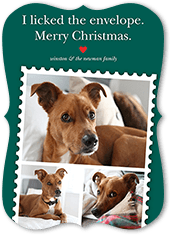 Festive Pet Stamp