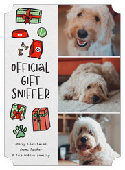 Gift Sniffer Greetings
