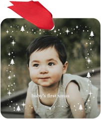 Starlit Christmas Trees