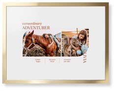 Favorite Infographic​