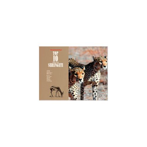 Passport to Africa 11x14 undefined  Premium Album