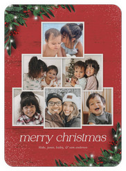 Botanical Photo Tree