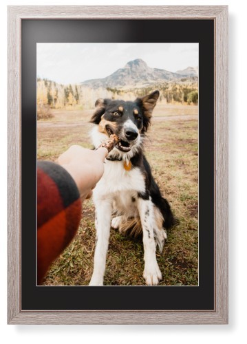 Pet Photo Gallery