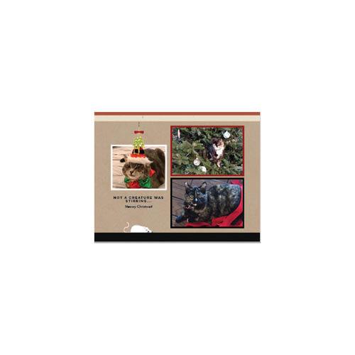 Four Legged Friends 8x11 undefined  Wall Calendar