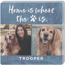 Home Is Where the Pet Is