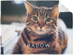 Pets Photo Gallery Horizontal