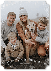 Snowfall Surroundings