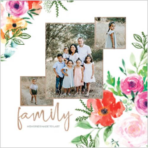 Colorful Blooms 12x12 undefined  Premium Album