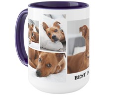 Gallery of Six Pets