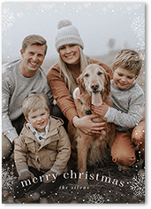 Snowfall Surroundings