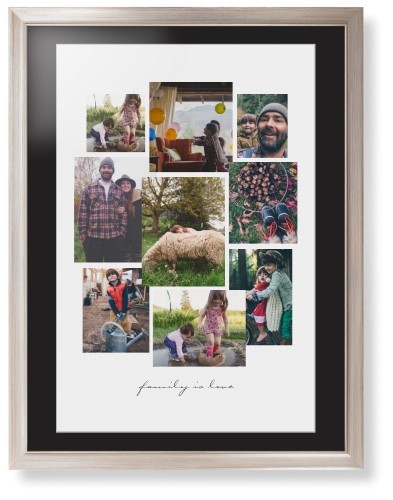 Gallery Collage of Nine