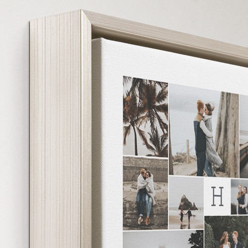 Nine Lives 8x10 Multicolor  Canvas Print