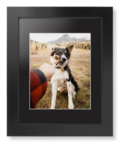 Pet Photo Gallery