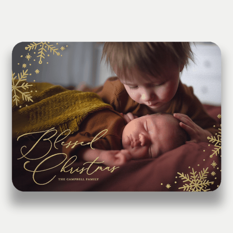 Delicate Flakes Holiday Card