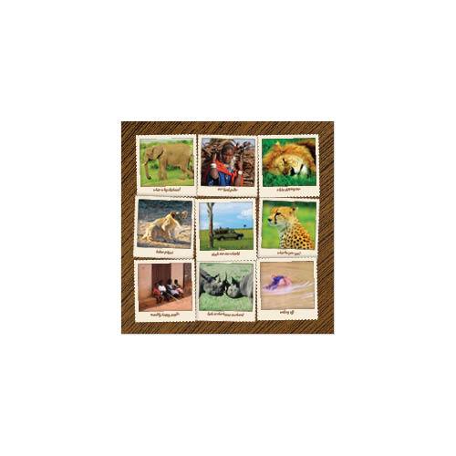 Passport to Africa 8x8 undefined  Premium Album