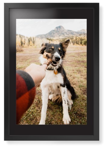 Pet Photo Gallery