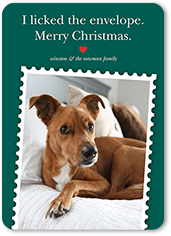 Festive Pet Stamp